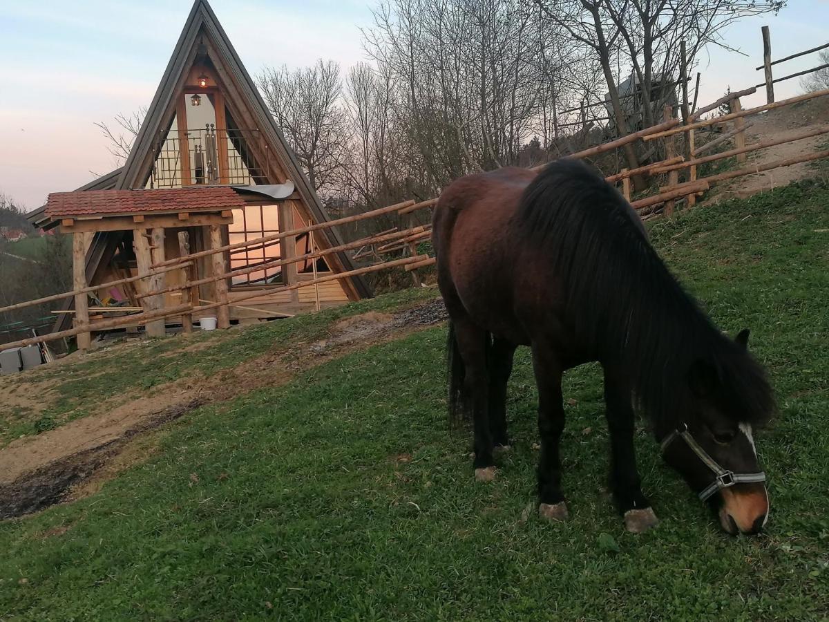 Pensjonat Ranch At Geta Razgorce Zewnętrze zdjęcie