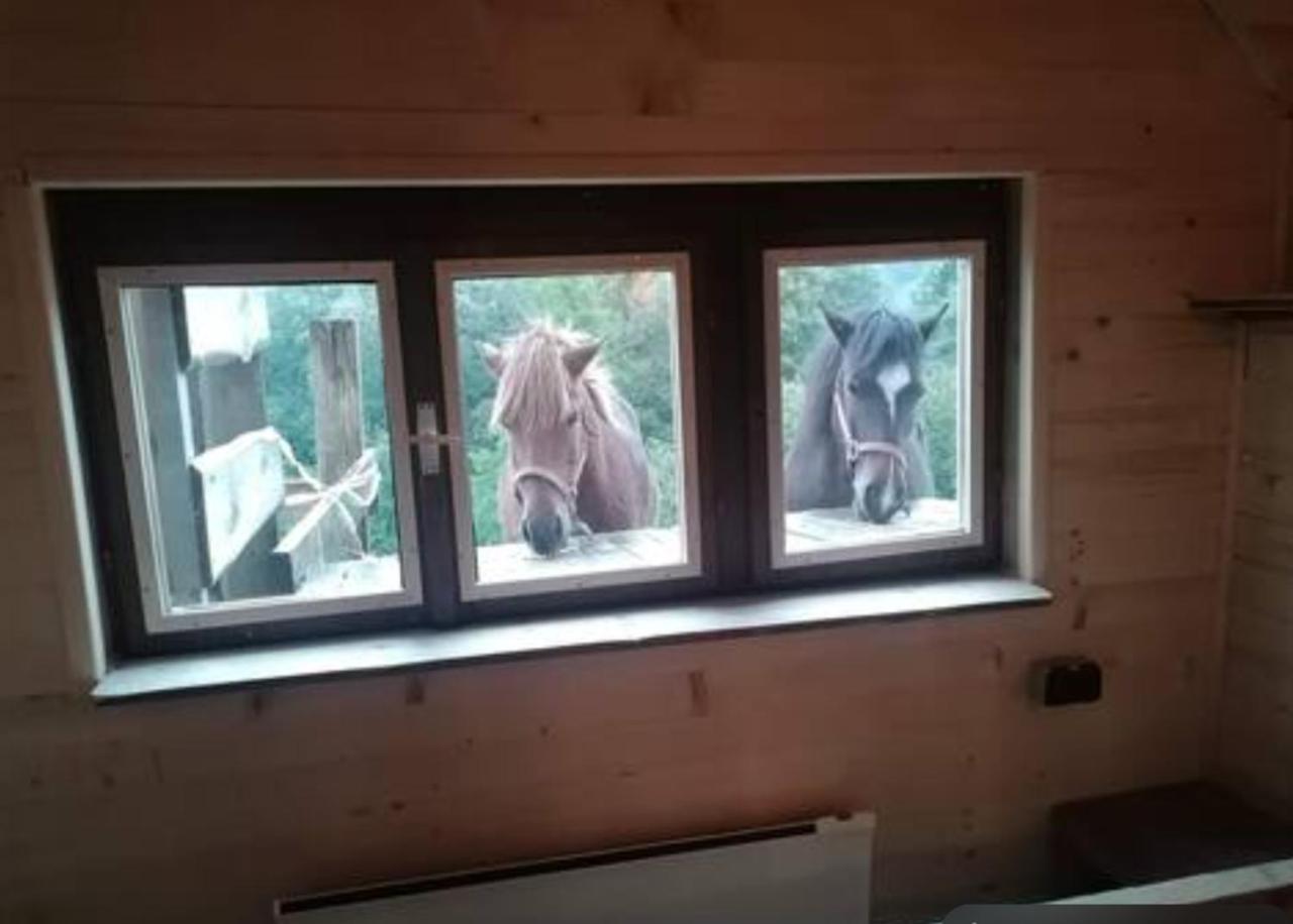 Pensjonat Ranch At Geta Razgorce Zewnętrze zdjęcie