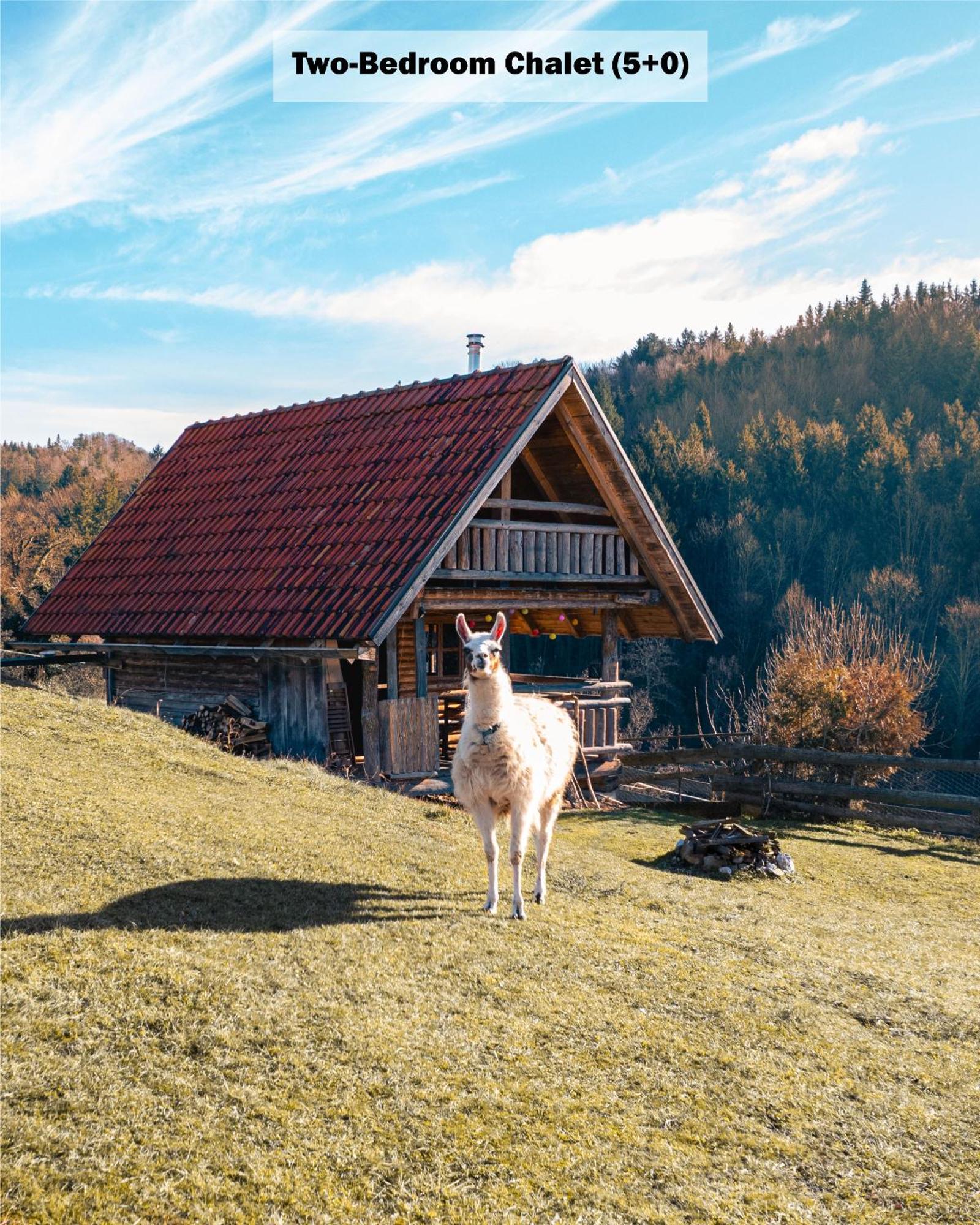 Pensjonat Ranch At Geta Razgorce Pokój zdjęcie